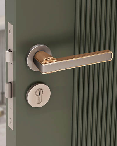 Door Handles